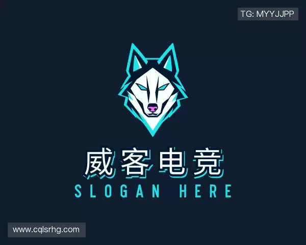 了解威客电竞